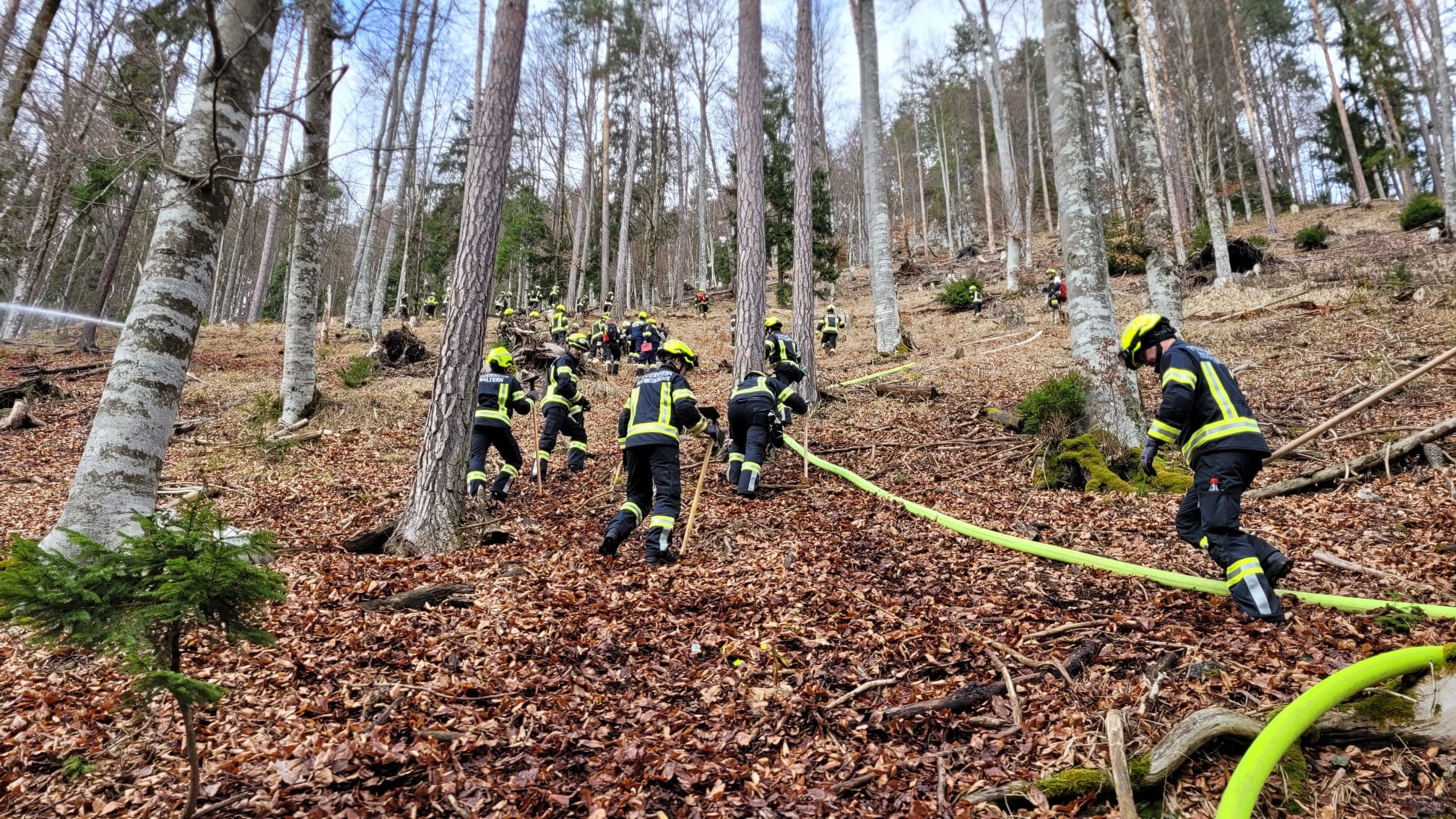 Übung Waldbrandgruppe