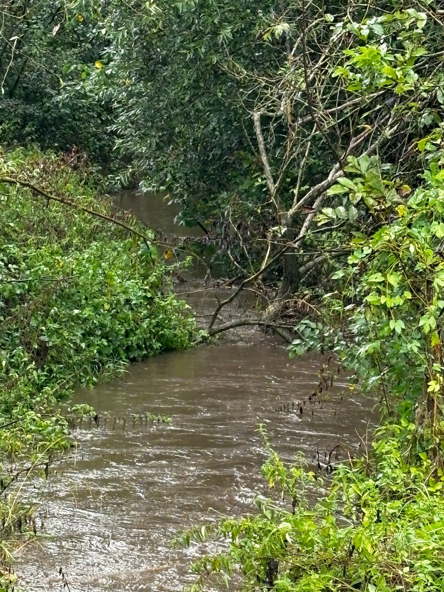 Hochwasser