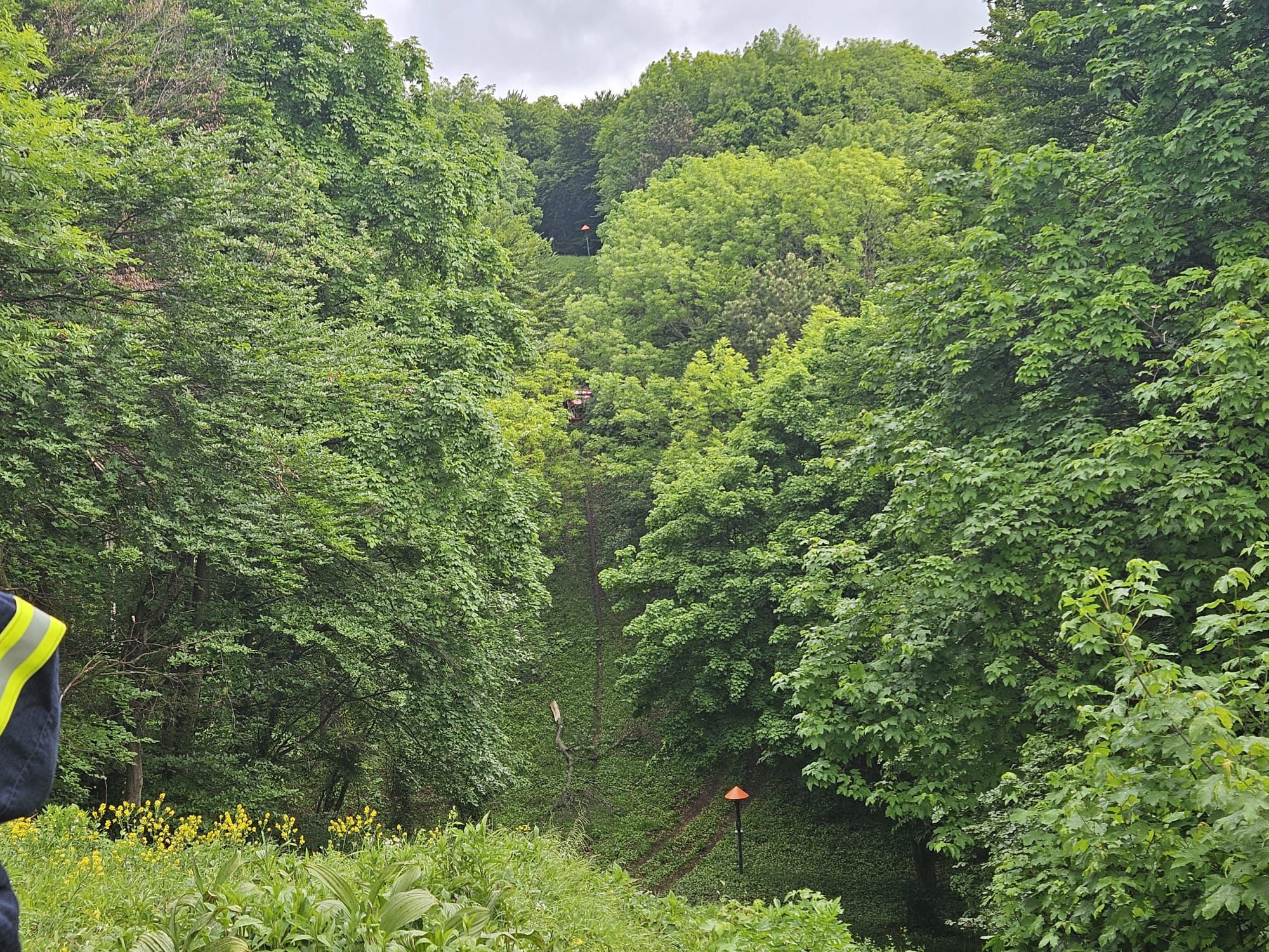 Zugsübung - Sonderdienst Waldbrand