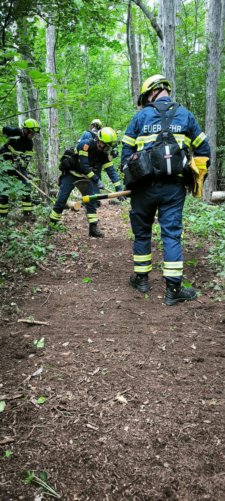 Zugsübung - Sonderdienst Waldbrand