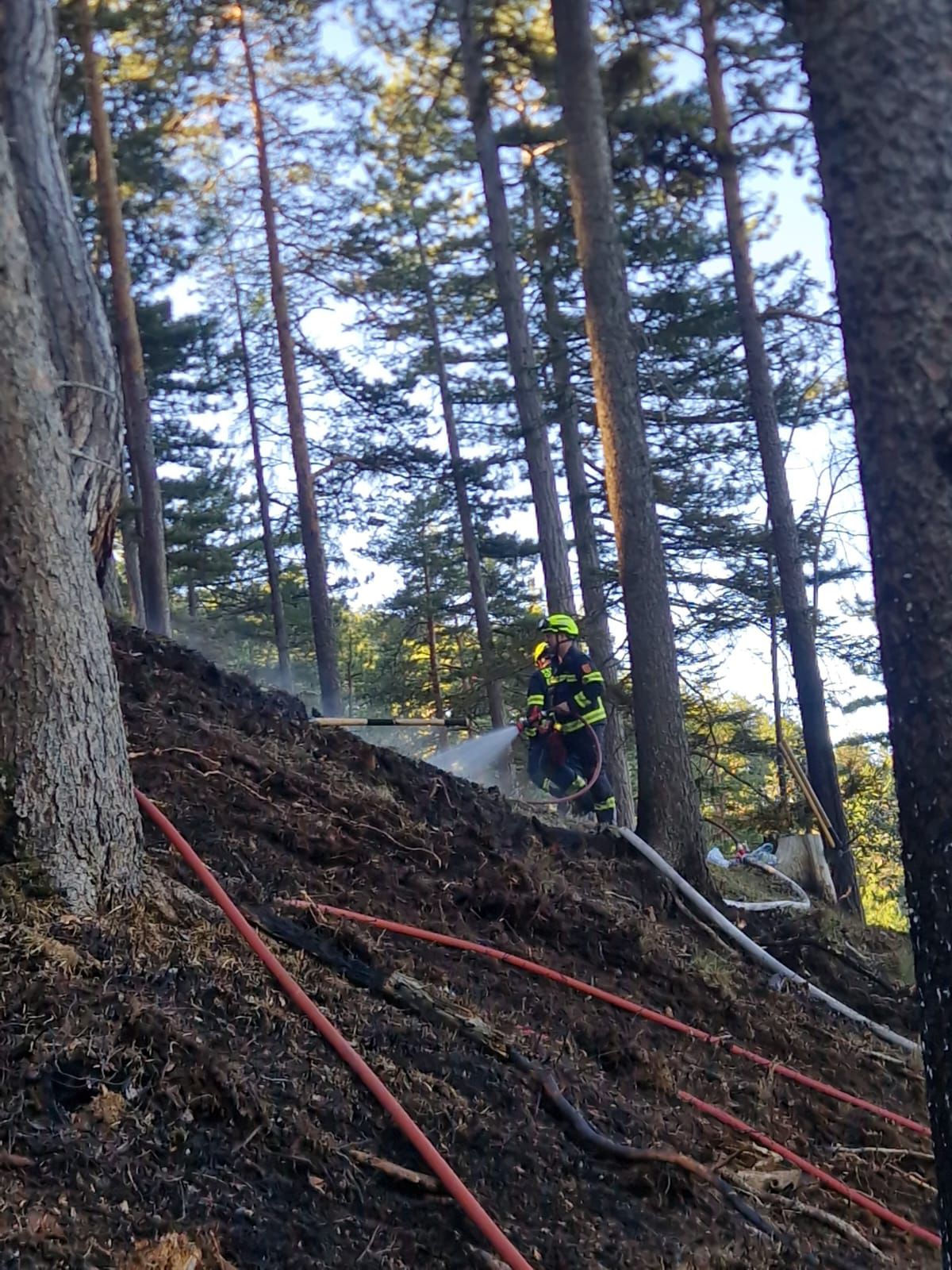 Waldbrandgruppe im Einsatz
