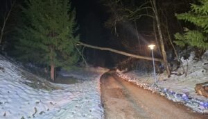 Mehr über den Artikel erfahren 26.01.2026 – Baum auf Stromleitung