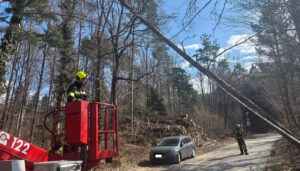 Mehr über den Artikel erfahren T1 Objekt/Baum – umgestürzt