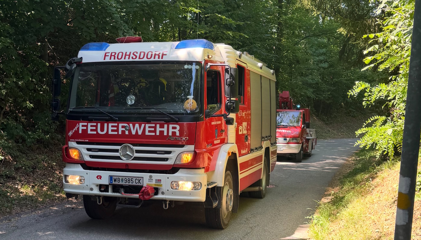 Du betrachtest gerade T1 – Baum umgestürzt