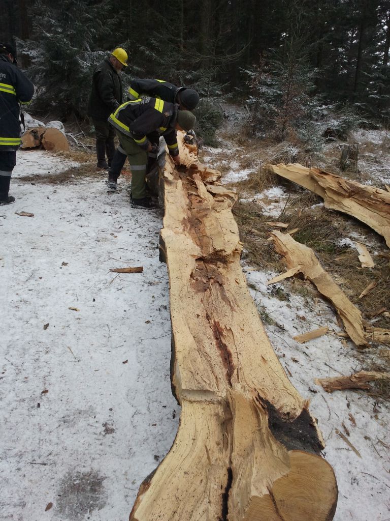 Sprengdienstübung Hohe Wand