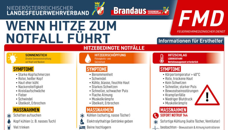 Mehr über den Artikel erfahren Wenn Hitze zum Notfall wird