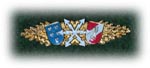 Funkleistungsabzeichen Gold