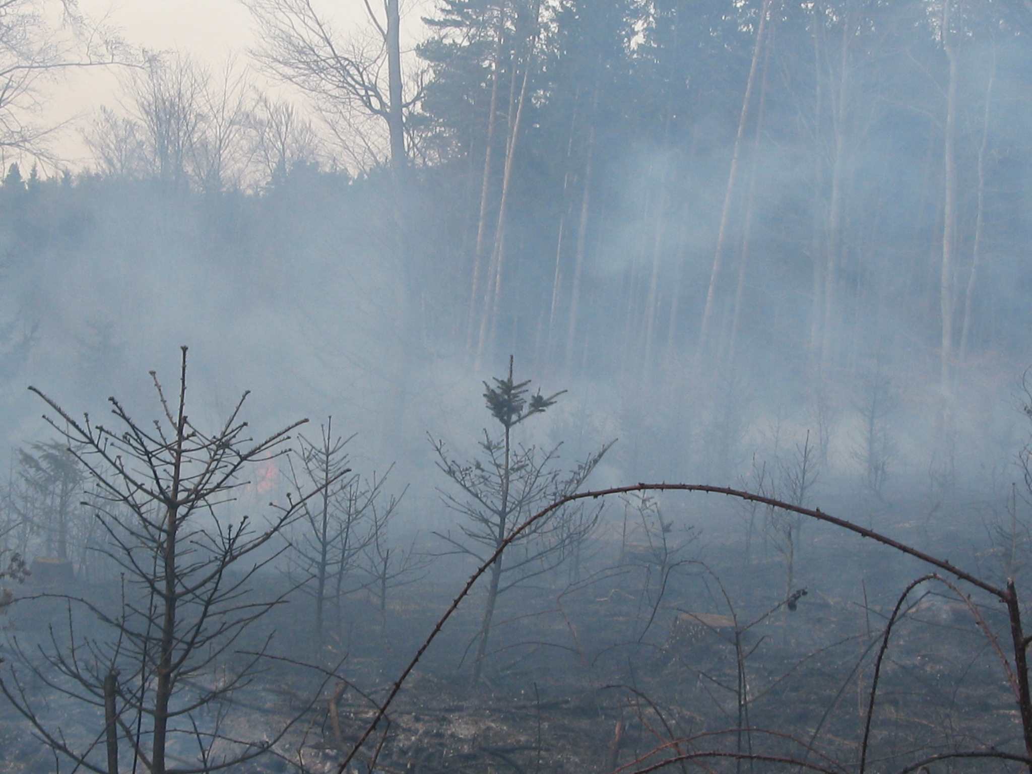 Waldbrand