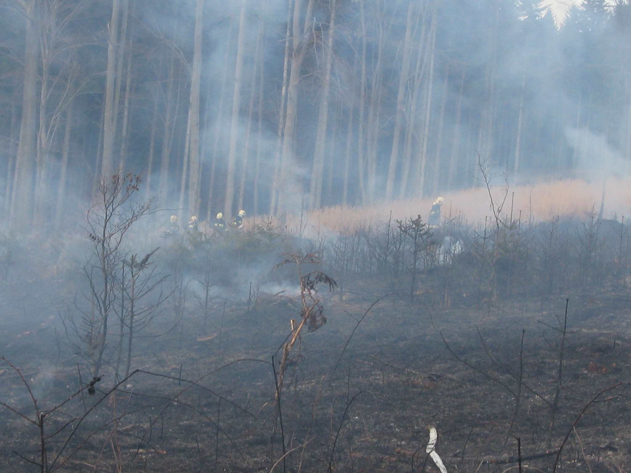 Waldbrand