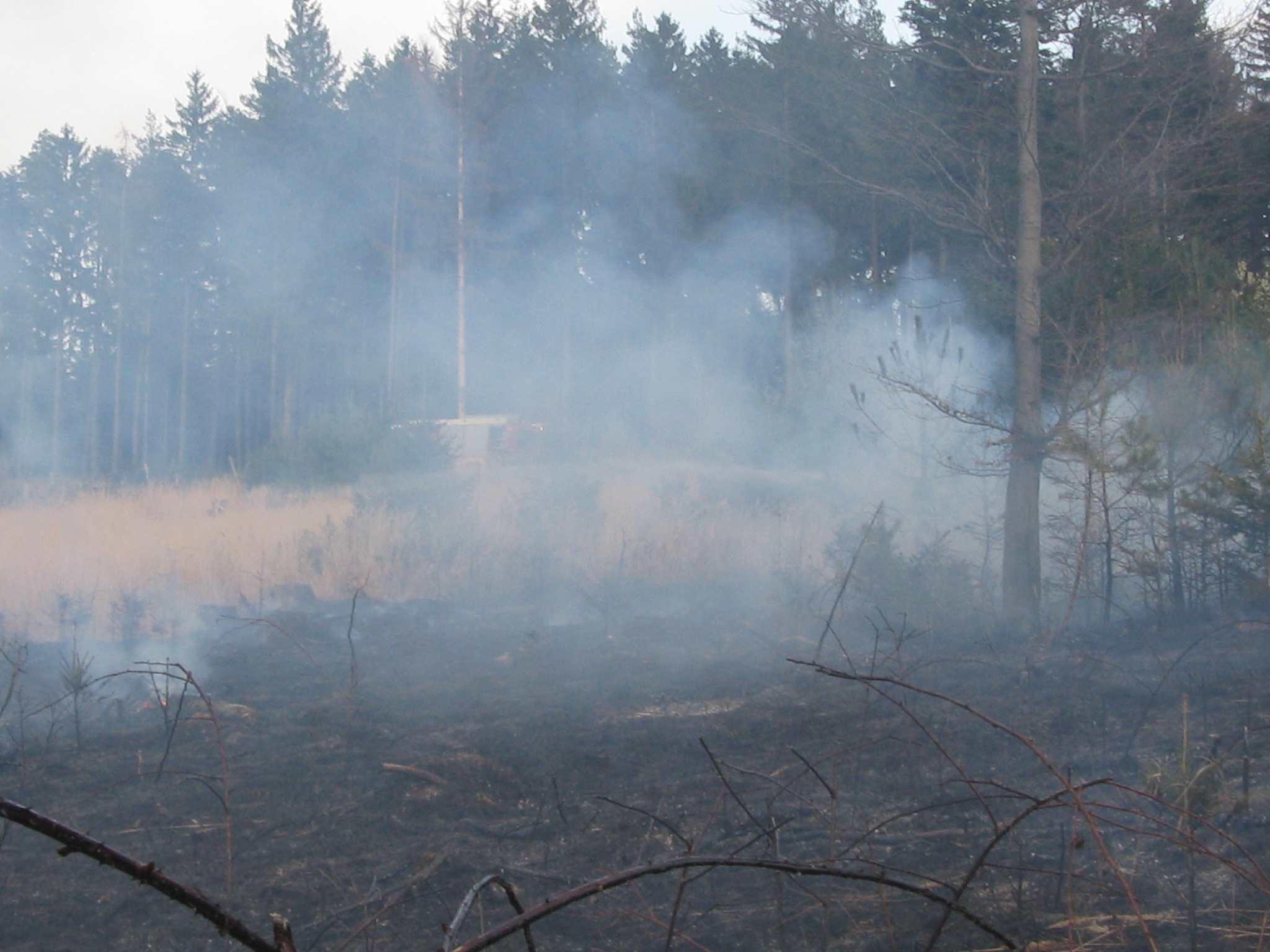 Waldbrand