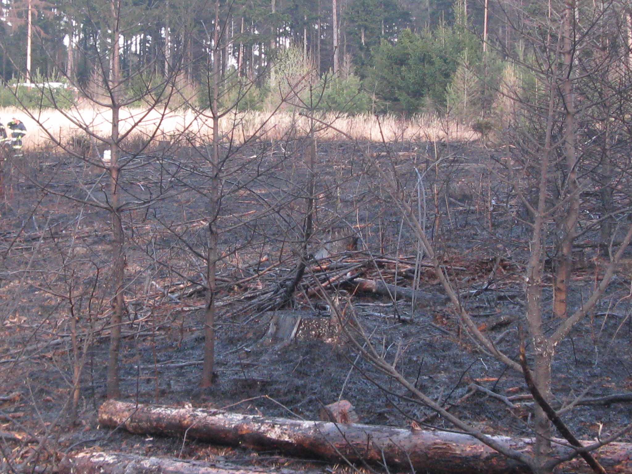 Waldbrand